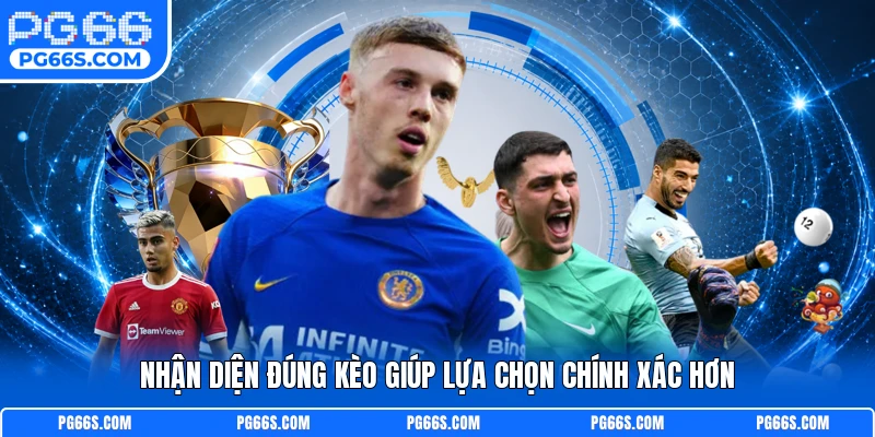 Nhận diện đúng kèo giúp lựa chọn chính xác hơn
