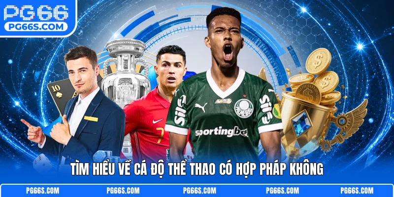 Tìm hiểu về cá độ thể thao có hợp pháp không